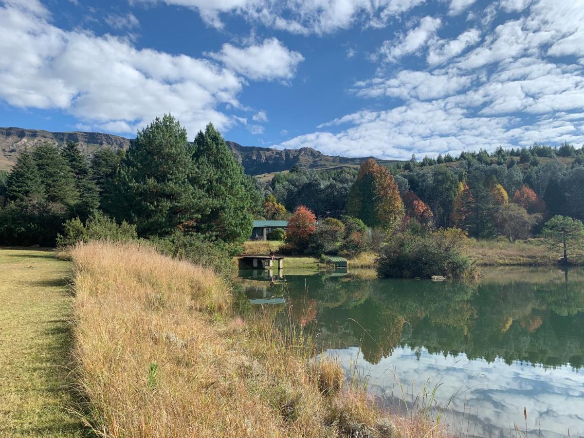 Brackenburn Trout And Trail Retreat Apartman Elandskop Kültér fotó